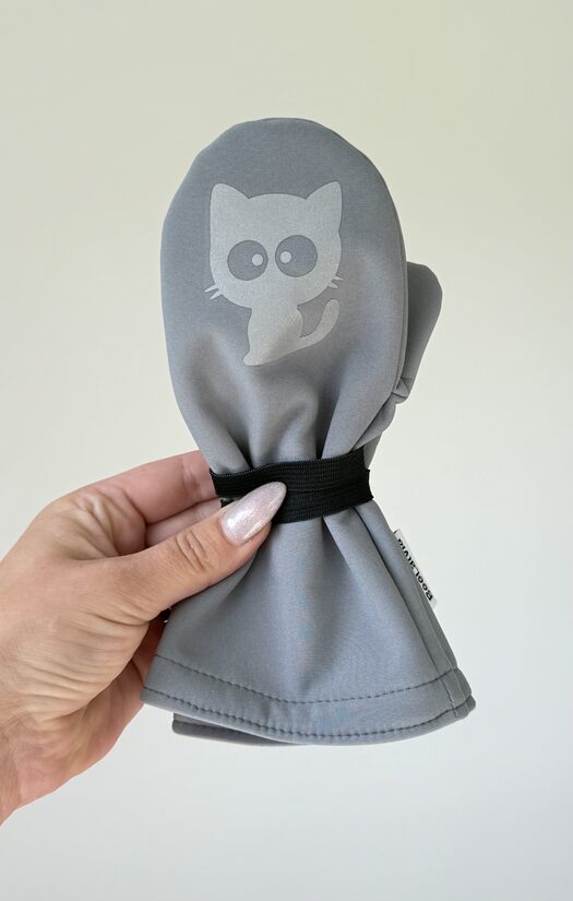 Kaķītis uz pelēka